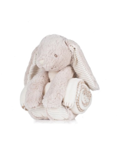 M-MM034-Rabbit And Blanket